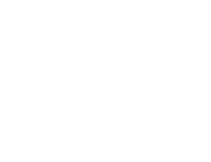 Dear Elie